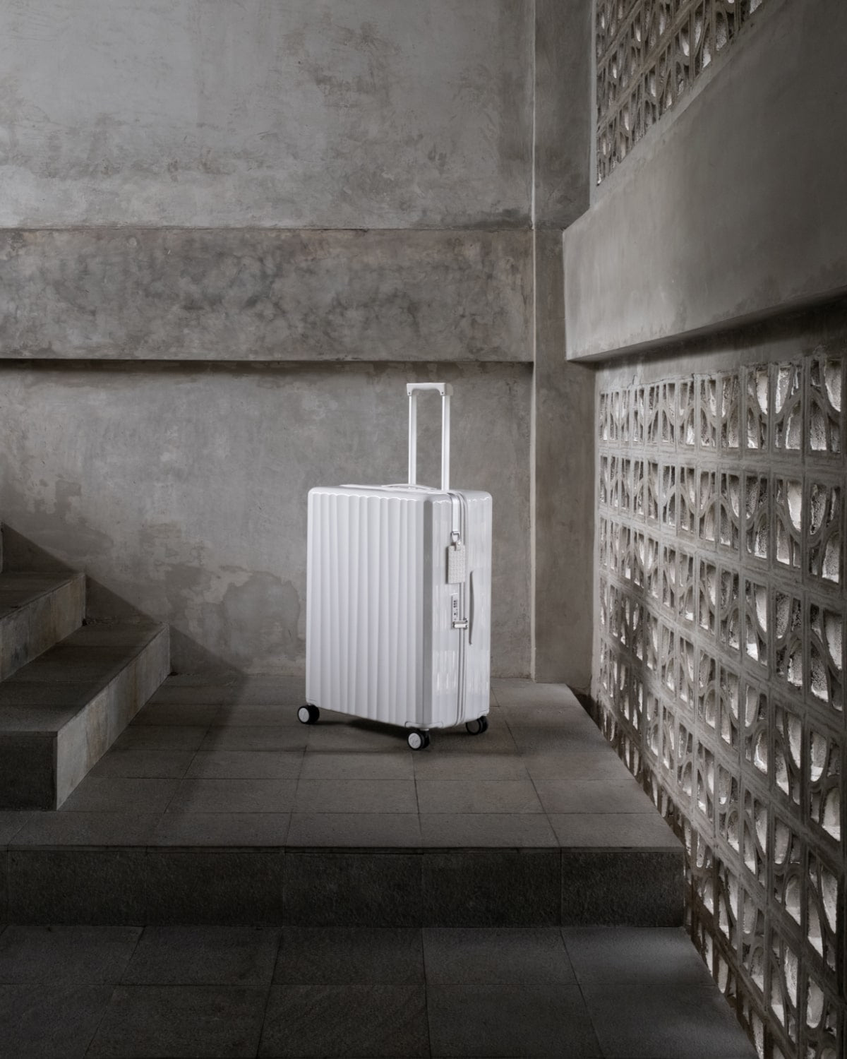 Bold Check-in (L) Bag